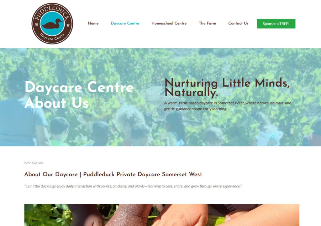 ECO School website design in Somerset West